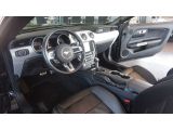 Ford Mustang bei Gebrauchtwagen.expert - Abbildung (7 / 15)