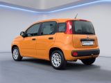 Fiat Panda bei Gebrauchtwagen.expert - Abbildung (3 / 15)