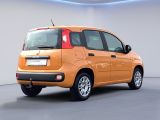 Fiat Panda bei Gebrauchtwagen.expert - Abbildung (5 / 15)