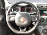 Fiat Panda bei Gebrauchtwagen.expert - Abbildung (12 / 15)