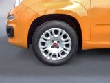 Fiat Panda bei Gebrauchtwagen.expert - Abbildung (14 / 15)
