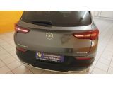 Opel Grandland X bei Gebrauchtwagen.expert - Abbildung (6 / 15)