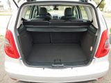 Mercedes-Benz A-Klasse bei Gebrauchtwagen.expert - Abbildung (10 / 10)