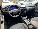 Ford Kuga bei Gebrauchtwagen.expert - Abbildung (12 / 15)