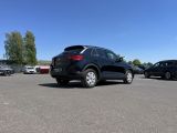 VW T-Roc bei Gebrauchtwagen.expert - Abbildung (6 / 15)