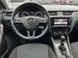 Skoda Octavia bei Gebrauchtwagen.expert - Abbildung (14 / 15)