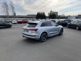 Audi e-tron bei Gebrauchtwagen.expert - Abbildung (6 / 15)