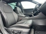 Skoda Superb bei Gebrauchtwagen.expert - Abbildung (13 / 15)