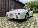 Triumph TR3 bei Gebrauchtwagen.expert - Abbildung (4 / 15)