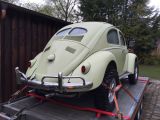 VW Käfer bei Gebrauchtwagen.expert - Abbildung (5 / 15)