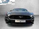 Ford Mustang bei Gebrauchtwagen.expert - Abbildung (14 / 15)