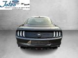 Ford Mustang bei Gebrauchtwagen.expert - Abbildung (5 / 15)