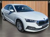 Skoda Octavia bei Gebrauchtwagen.expert - Abbildung (11 / 11)