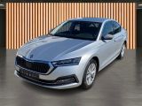 Skoda Octavia bei Gebrauchtwagen.expert - Abbildung (2 / 14)