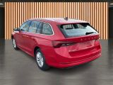 Skoda Octavia bei Gebrauchtwagen.expert - Abbildung (4 / 6)