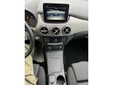 Mercedes-Benz B-Klasse bei Gebrauchtwagen.expert - Abbildung (12 / 14)