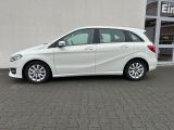 Mercedes-Benz B-Klasse bei Gebrauchtwagen.expert - Abbildung (3 / 14)