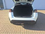 Nissan Juke bei Gebrauchtwagen.expert - Abbildung (8 / 15) Nissan Juke bei Gebrauchtwagen.expert - Abbildung (8 / 15)