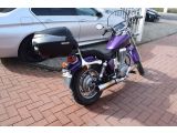 Suzuki 650 bei Gebrauchtwagen.expert - Abbildung (2 / 8) Suzuki 650 bei Gebrauchtwagen.expert - Abbildung (2 / 8)