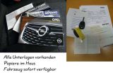 Opel Movano bei Gebrauchtwagen.expert - Abbildung (10 / 15)