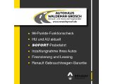 Renault Zoe bei Gebrauchtwagen.expert - Abbildung (9 / 9)
