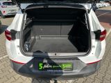 Opel Grandland X bei Gebrauchtwagen.expert - Abbildung (10 / 15)
