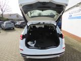 Ford Mondeo Turnier bei Gebrauchtwagen.expert - Abbildung (11 / 15)