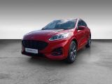 Ford Kuga bei Gebrauchtwagen.expert - Abbildung (2 / 14)
