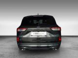 Ford Kuga bei Gebrauchtwagen.expert - Abbildung (5 / 14)