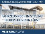 Dacia Sandero bei Gebrauchtwagen.expert - Abbildung (4 / 4)