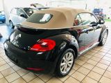 VW Beetle bei Gebrauchtwagen.expert - Abbildung (7 / 15)