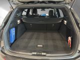 Ford Focus ST bei Gebrauchtwagen.expert - Abbildung (14 / 15) Ford Focus ST bei Gebrauchtwagen.expert - Abbildung (14 / 15)