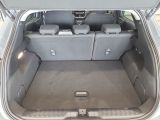 Ford Puma bei Gebrauchtwagen.expert - Abbildung (14 / 15)