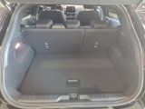 Ford Puma bei Gebrauchtwagen.expert - Abbildung (14 / 15)