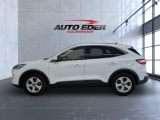 Ford Kuga bei Gebrauchtwagen.expert - Abbildung (8 / 15)