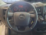 Opel Movano bei Gebrauchtwagen.expert - Abbildung (14 / 15) Opel Movano bei Gebrauchtwagen.expert - Abbildung (14 / 15)