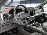 Ford F150 bei Gebrauchtwagen.expert - Abbildung (9 / 15)