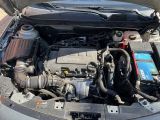 Opel Insignia bei Gebrauchtwagen.expert - Abbildung (14 / 15)
