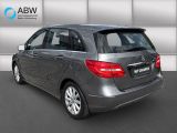 Mercedes-Benz B-Klasse bei Gebrauchtwagen.expert - Abbildung (7 / 15)