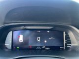 Skoda Octavia bei Gebrauchtwagen.expert - Abbildung (14 / 15)