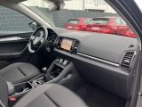 Skoda Karoq bei Gebrauchtwagen.expert - Abbildung (13 / 15)