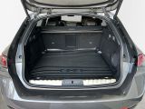 Peugeot 508 bei Gebrauchtwagen.expert - Abbildung (7 / 15)