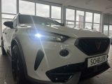 Cupra Formentor bei Gebrauchtwagen.expert - Abbildung (6 / 15)