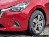 Mazda 2 bei Gebrauchtwagen.expert - Abbildung (13 / 14)