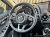 Mazda 2 bei Gebrauchtwagen.expert - Abbildung (7 / 14)