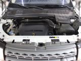 Land Rover Range Rover Evoque bei Gebrauchtwagen.expert - Abbildung (12 / 15)