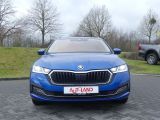 Skoda Octavia bei Gebrauchtwagen.expert - Abbildung (7 / 15)