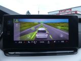 Skoda Octavia bei Gebrauchtwagen.expert - Abbildung (14 / 15)