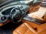 Jaguar XJL bei Gebrauchtwagen.expert - Abbildung (10 / 13)