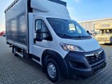 Opel Movano bei Gebrauchtwagen.expert - Abbildung (3 / 15) Opel Movano bei Gebrauchtwagen.expert - Abbildung (3 / 15)